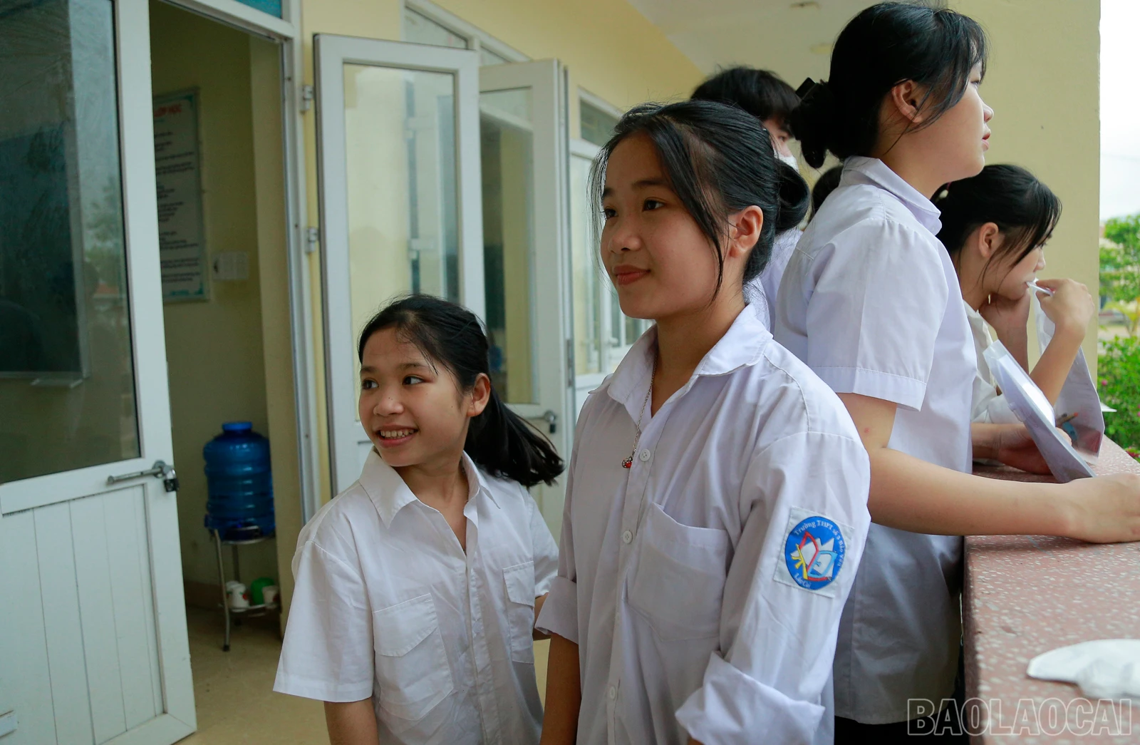 baolaocai_cô bé hạt tiêu Hoàng Thị Kim Liên (trái ảnh) .JPG