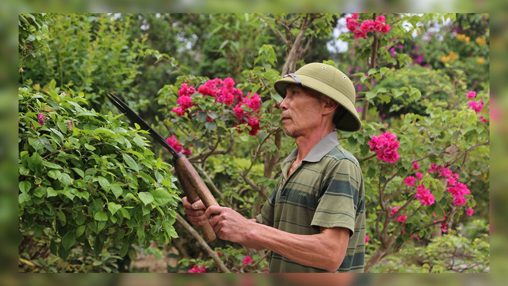Ông Đỗ Trọng Long, thôn Bản Bay, xã Gia Phú thành công với mô hình trồng hoa giấy. Bản Bay ngày mới (1).jpg