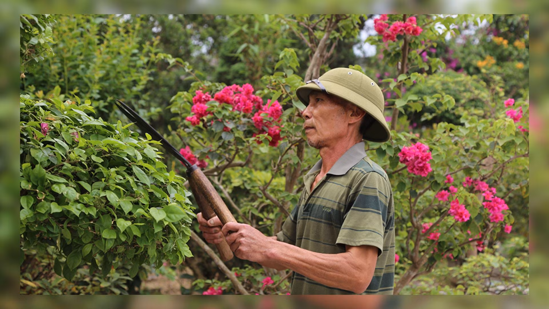 Bản Bay ngày mới (1).jpg