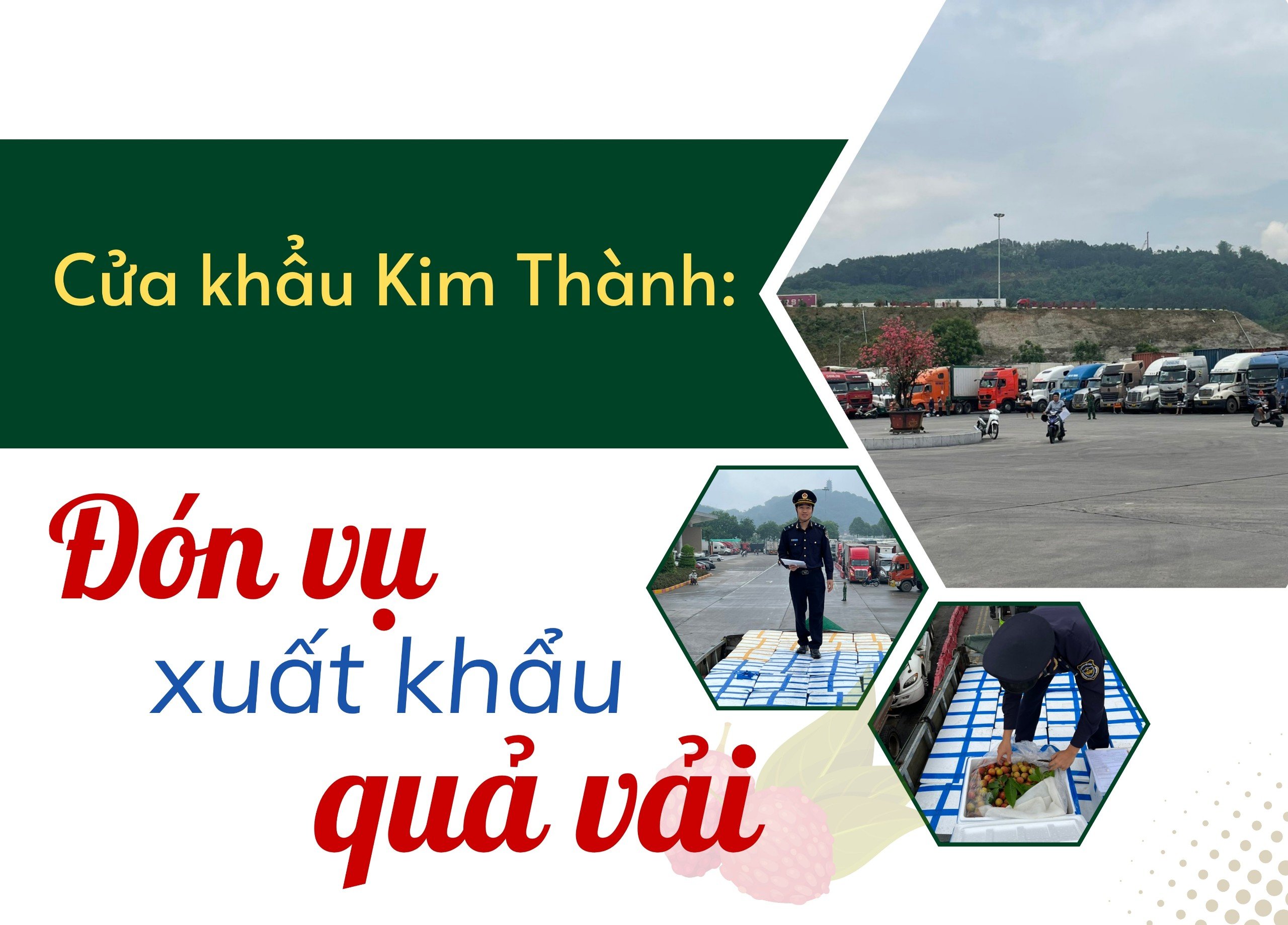 Đón vụ xuất khẩu quả vải