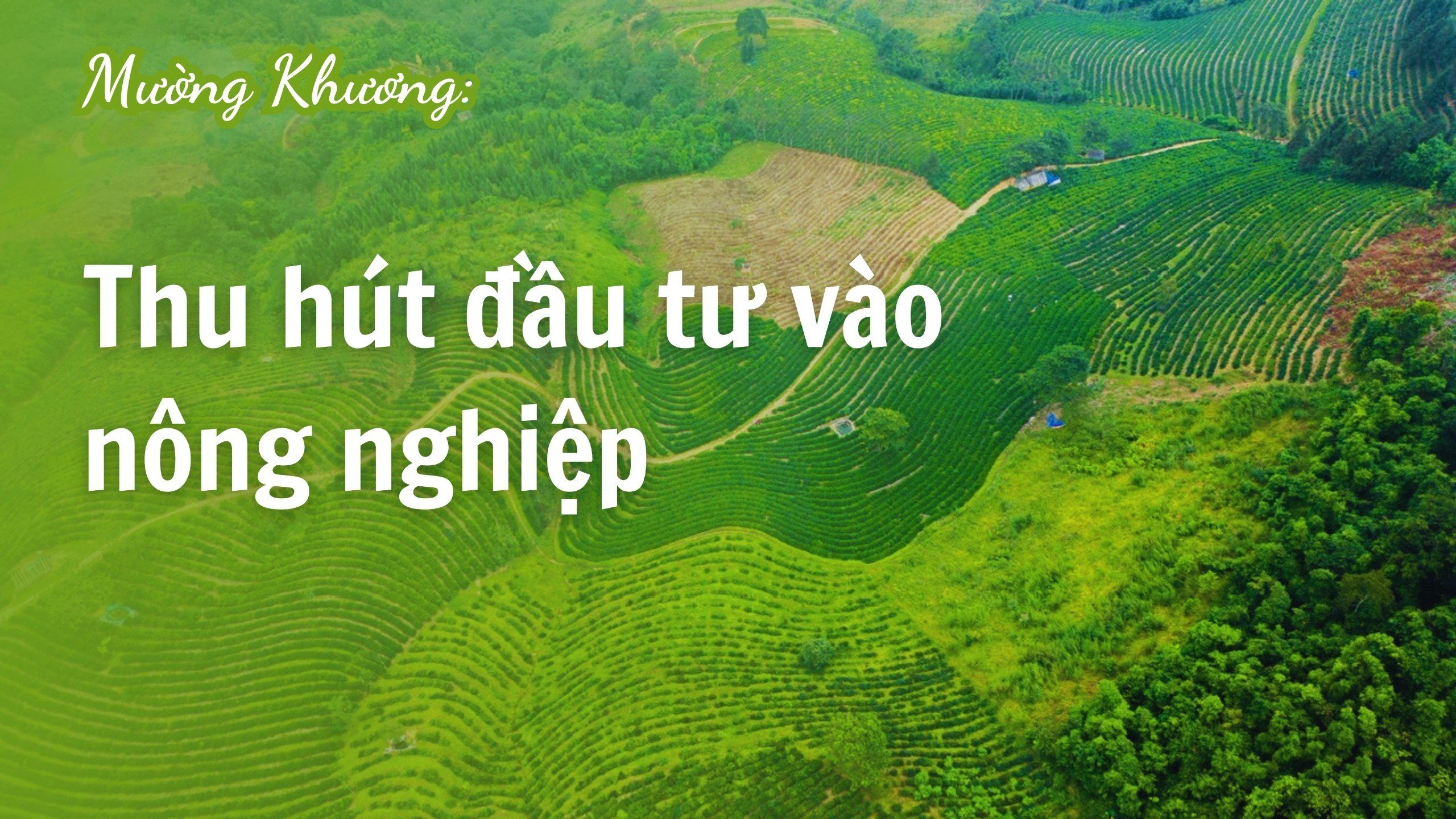 Mường Khương thu hút đầu tư vào nông nghiệp