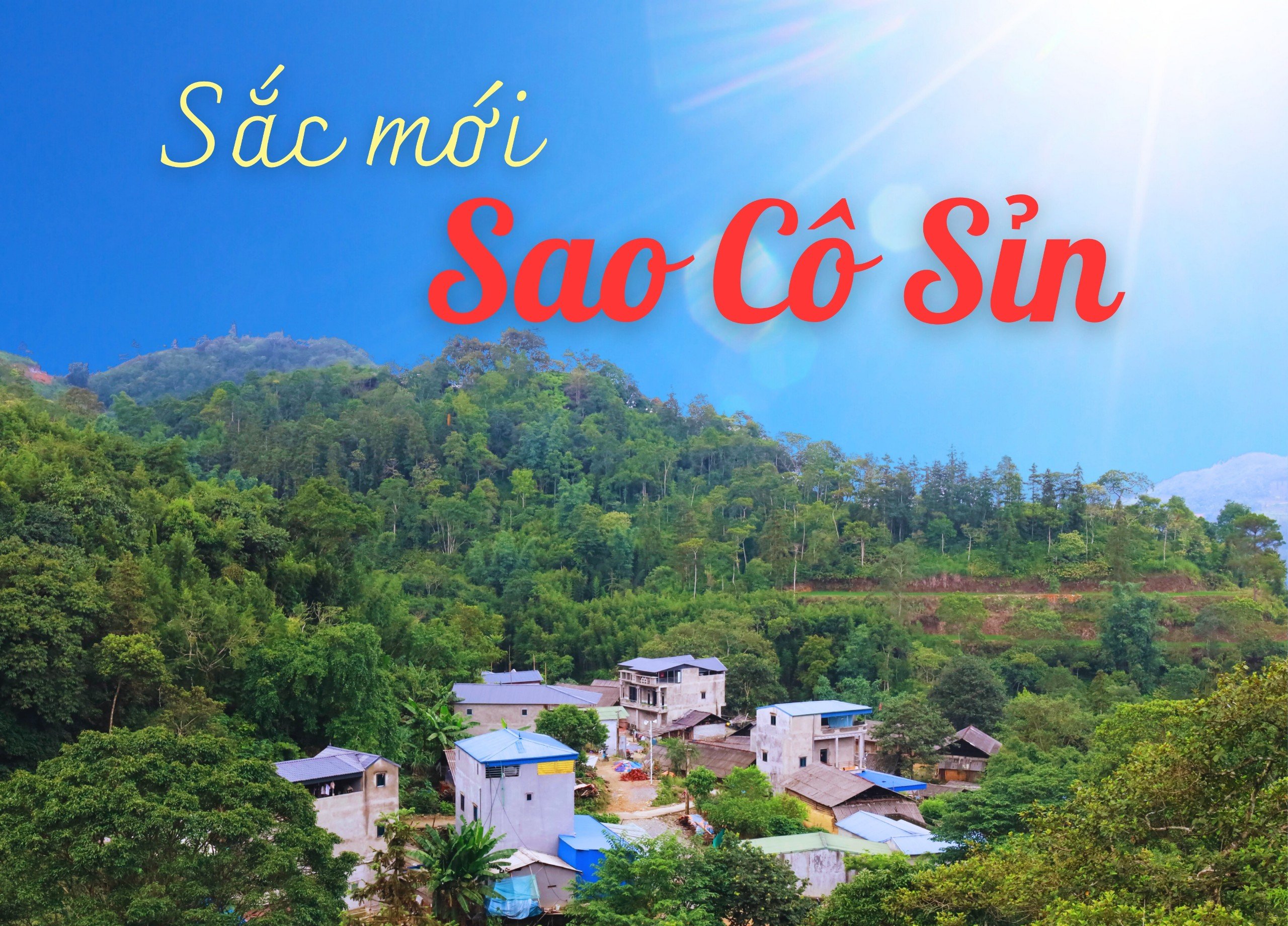 Sắc mới Sao Cô Sỉn