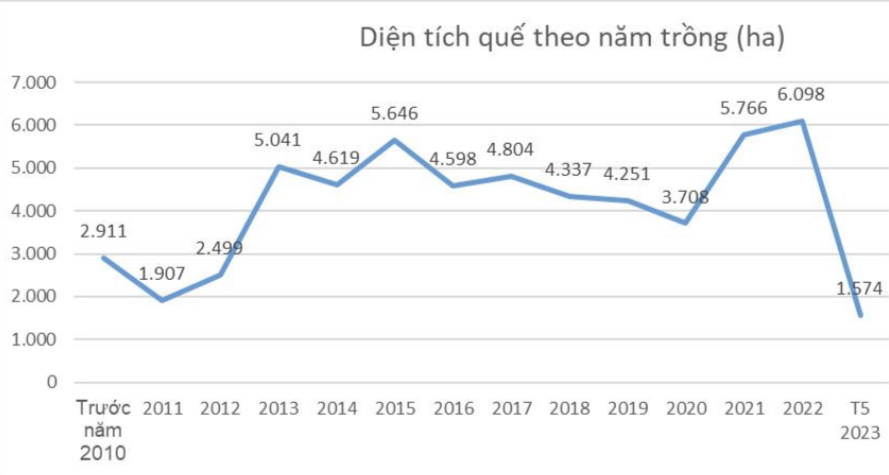 qué.jpg