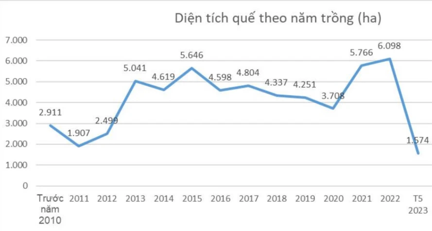qué.jpg