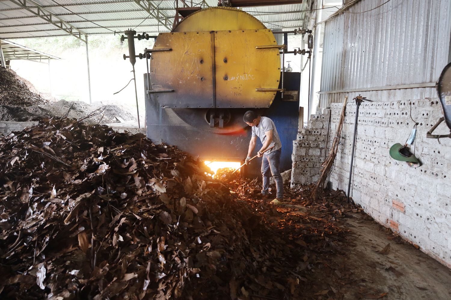Cần phải quan tâm chế biến sâu sản phẩm tinh dầu quế. HTX Long Phát vẫn duy trì sản xuất do nguyên liệu đã nhập từ trước..JPG