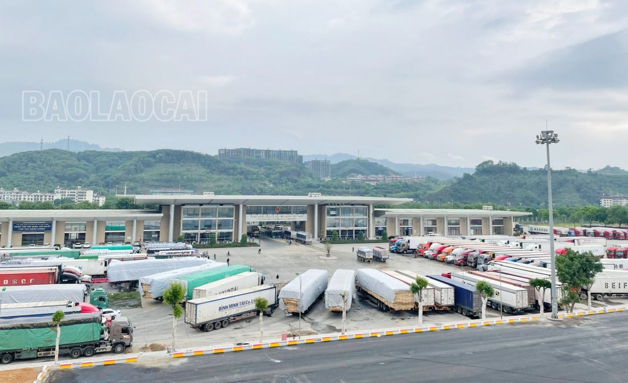 Hàng hóa xuất khẩu sang Trung Quốc qua Cửa khẩu Kim Thành. z4964371460221-2f003dc001cdd5cd097f5d4095e6bcc0-3911-1265.jpg