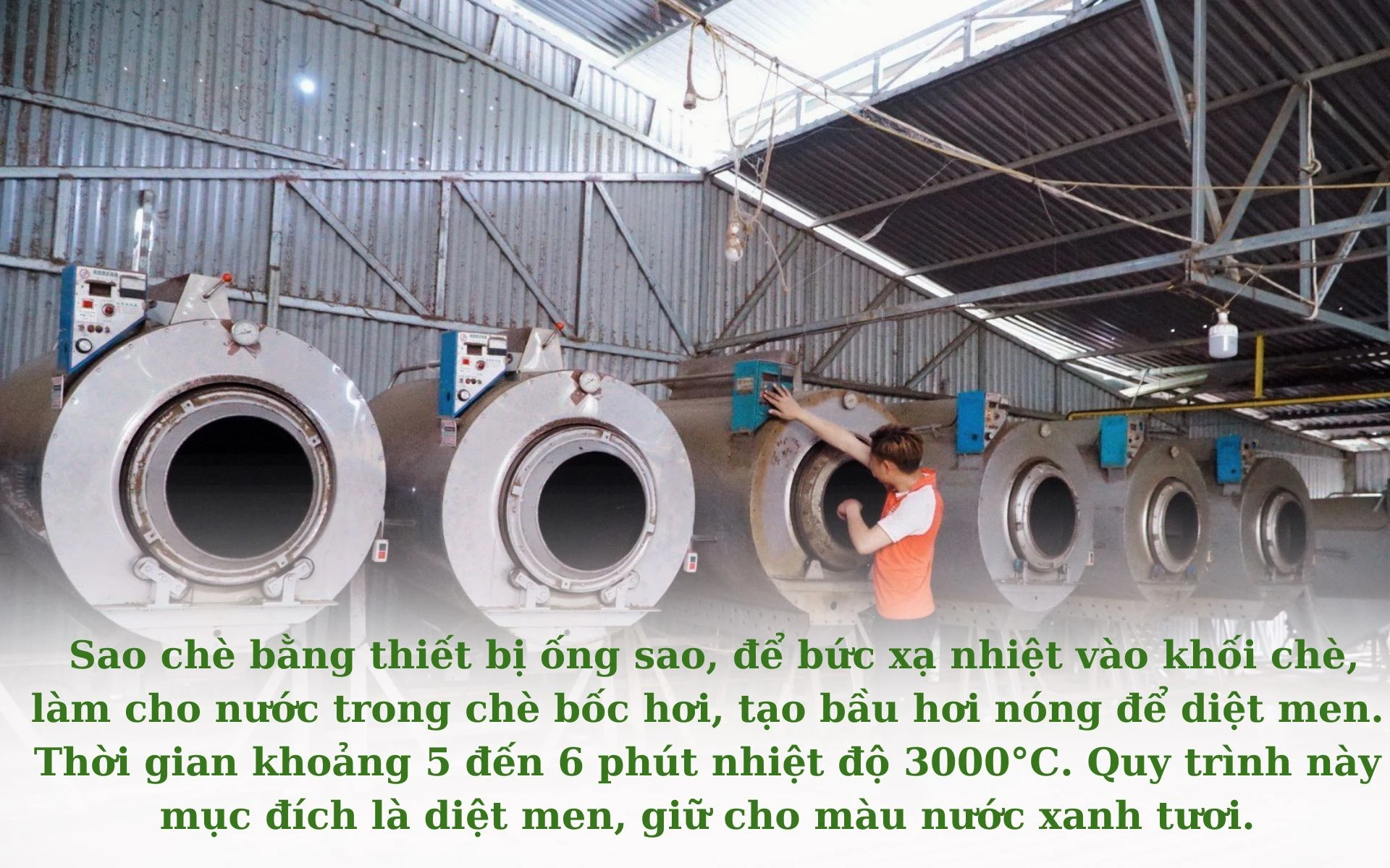 Chưa có tên (1920 × 1200 px) (22).jpg