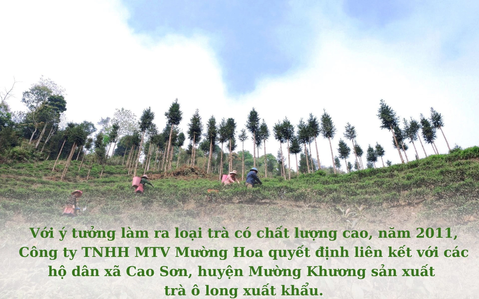 Chưa có tên (1920 × 1200 px) (27).jpg