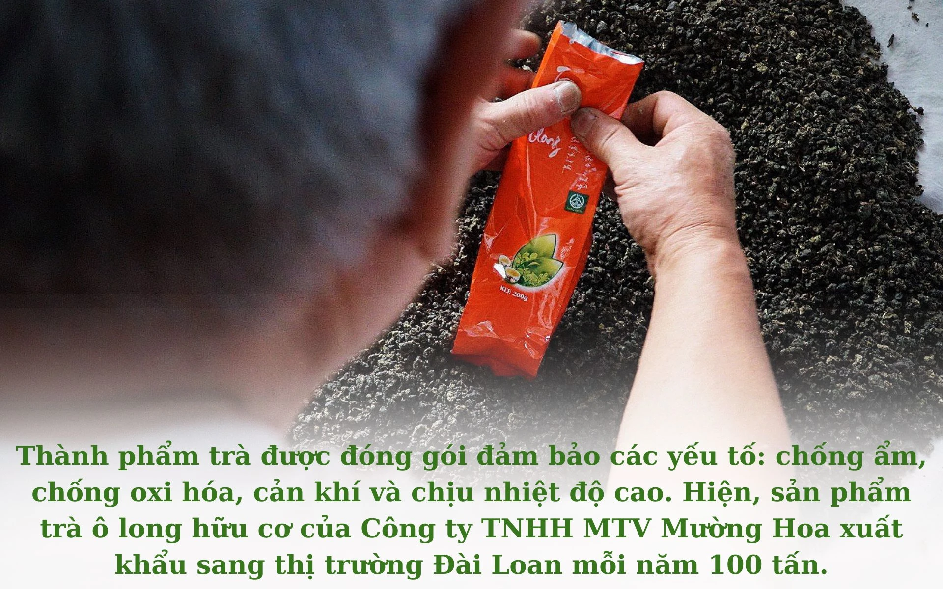 Chưa có tên (1920 × 1200 px) (28).jpg