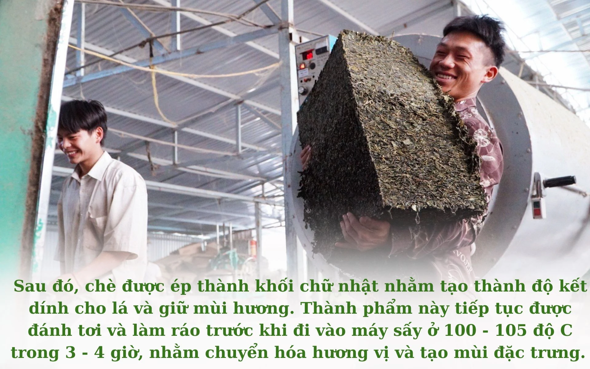 Chưa có tên (1920 × 1200 px) (18).jpg