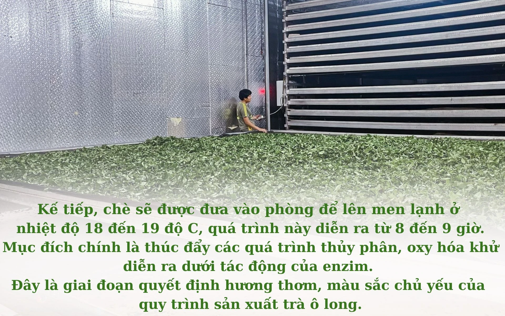 Chưa có tên (1920 × 1200 px) (25).jpg