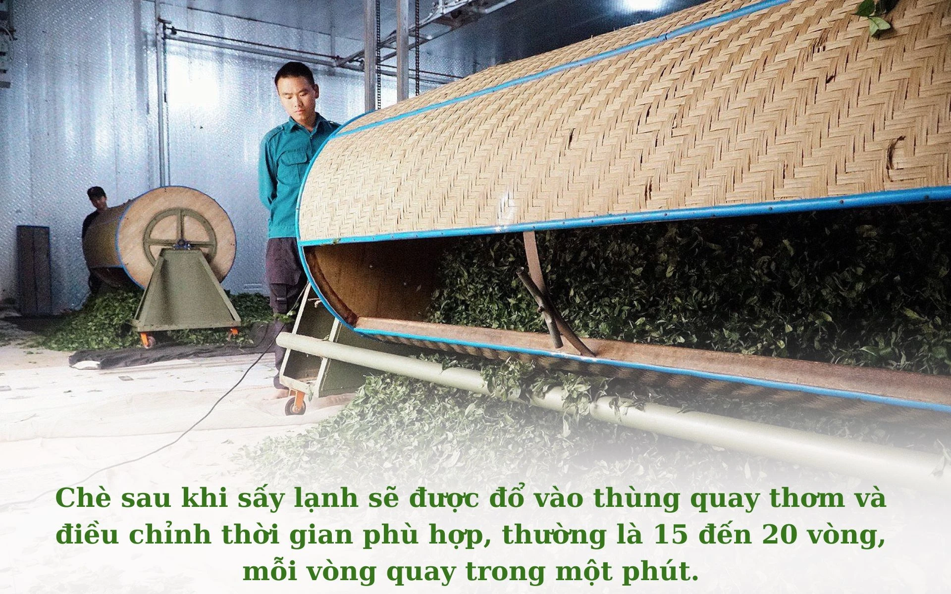 Chưa có tên (1920 × 1200 px) (15).jpg