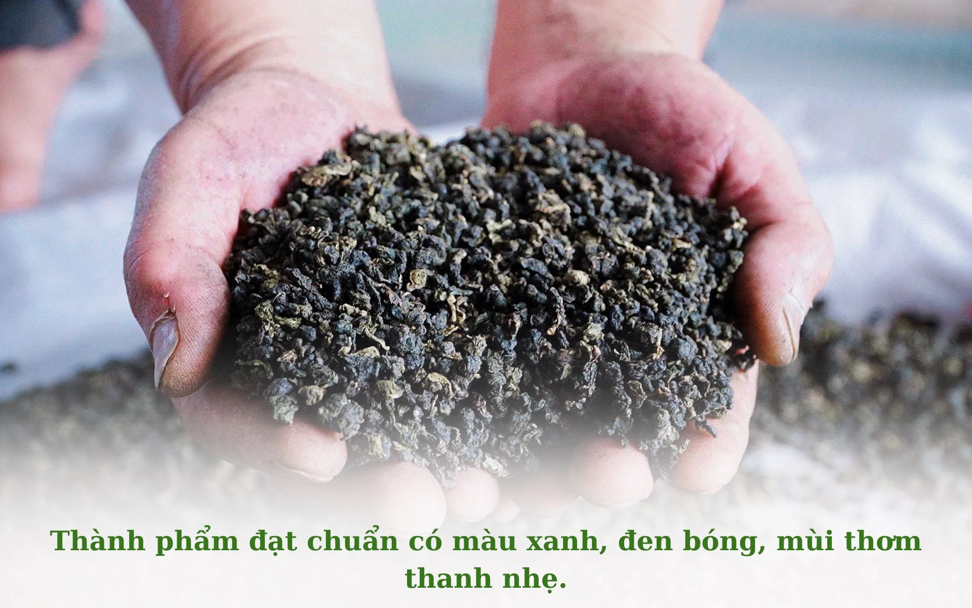 Chưa có tên (1920 × 1200 px) (19).jpg