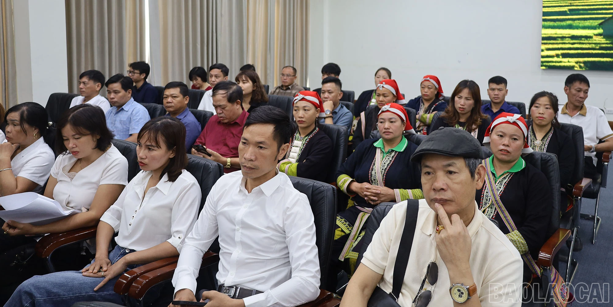 baolaocai_2e (1).jpg