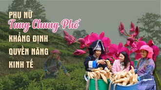 Phụ nữ Tung Chung Phố khẳng định quyền năng kinh tế