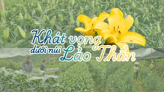 Khát vọng dưới núi Lảo Thẩn