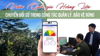 Vườn Quốc gia Hoàng Liên: Chuyển đổi số trong công tác quản lý, bảo vệ rừng