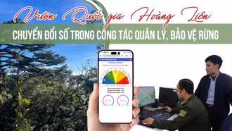 Vườn Quốc gia Hoàng Liên: Chuyển đổi số trong công tác quản lý, bảo vệ rừng