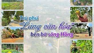 Trù phú “Làng văn hóa” bên bờ sông Hồng