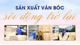 Sản xuất ván bóc sôi động trở lại