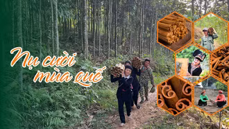 Nụ cười mùa quế