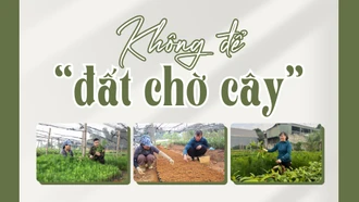 Không để “đất chờ cây”