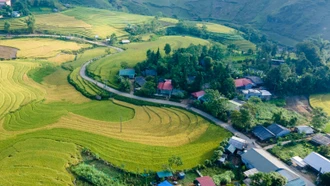 Triển khai cuộc thi trắc nghiệm trực tuyến tìm hiểu về xây dựng nông thôn mới gắn với sản xuất nông nghiệp hàng hóa