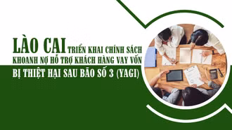 [Infographic] Triển khai chính sách khoanh nợ hỗ trợ khách hàng vay vốn bị thiệt hại sau bão số 3 (Yagi)