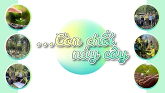 ...Còn chồi nảy cây