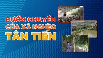 Bước chuyển của xã nghèo Tân Tiến