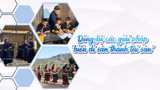 Đồng bộ các giải pháp “biến di sản thành tài sản”