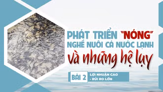 Bài 2: Lợi nhuận cao - rủi ro lớn 