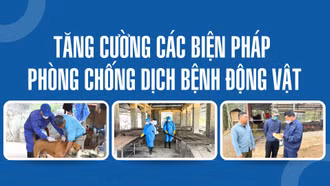 Tăng cường các biện pháp phòng chống dịch bệnh động vật