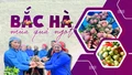 Bắc Hà mùa quả ngọt