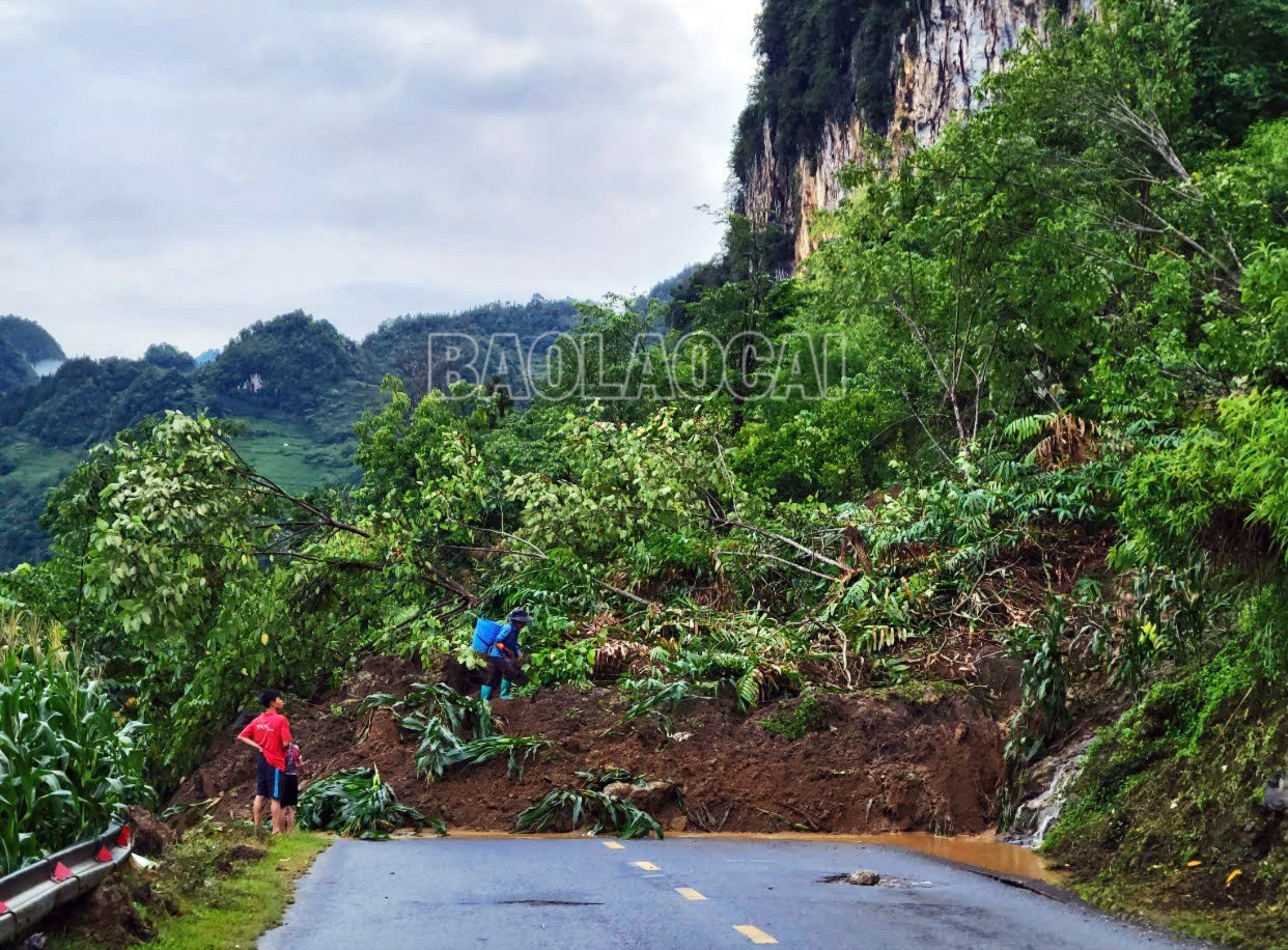 Điểm sạt lở tại Km197+100, Quốc lộ 4 (thuộc địa phận xã Tung Chung Phố, huyện Mường Khương). z6746143360414-63e92922aabbaba9eb80ba3ac4904945-9557.jpg