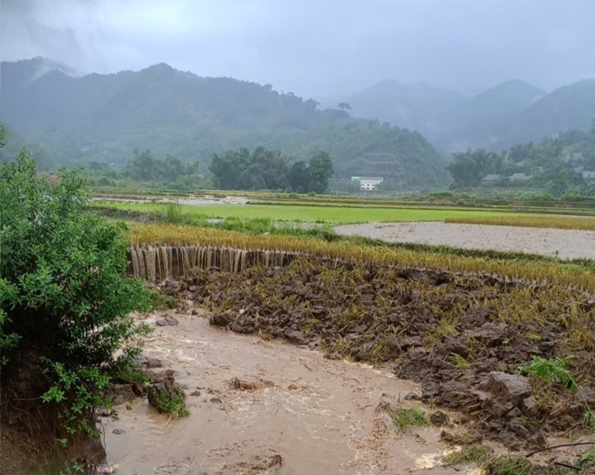 Nhiều diện tích đất nông nghiệp ở xã Dương Quỳ bị đất đá vùi lấp, sạt lở. z6775931681996-aecb759a965d704db2ce380d7e5ff9f0.jpg