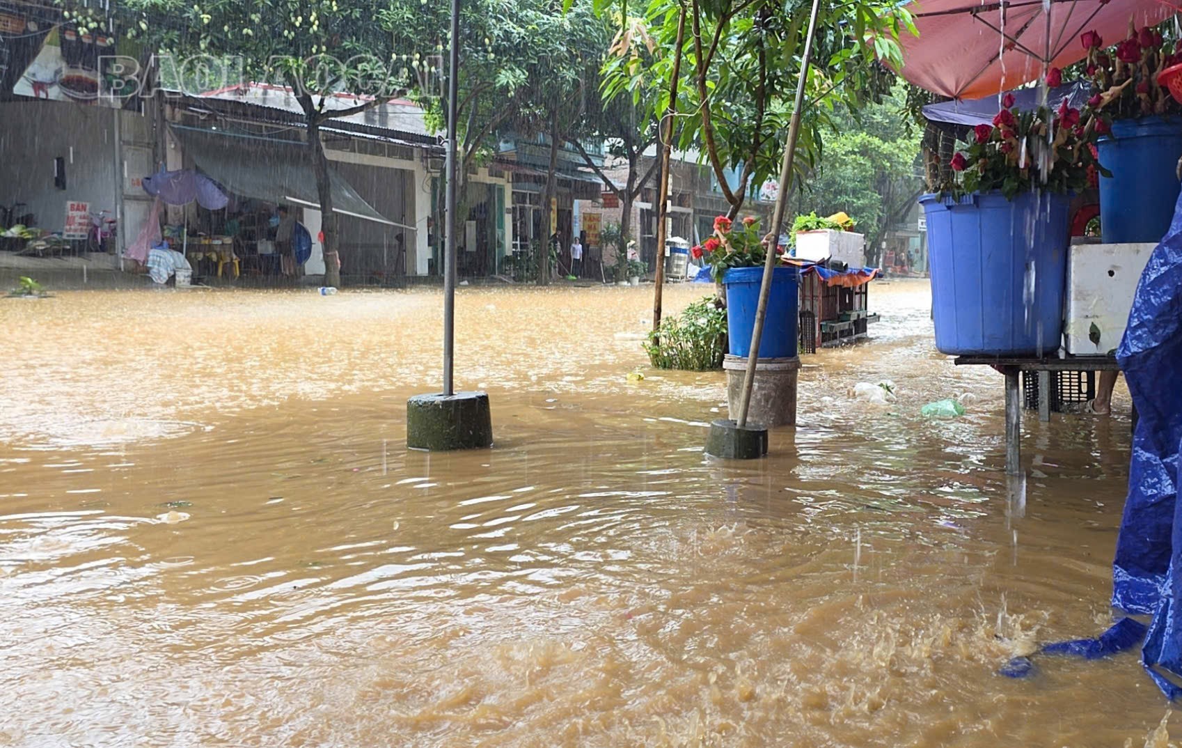 Tuyến phố Lê Thanh, đoạn qua tổ 11, phường Bắc Cường, thành phố Lào Cai ngập sâu trong nước. z6746215819047-0f5a81c7514fc41b3e2067c0e0da471b-2485.jpg