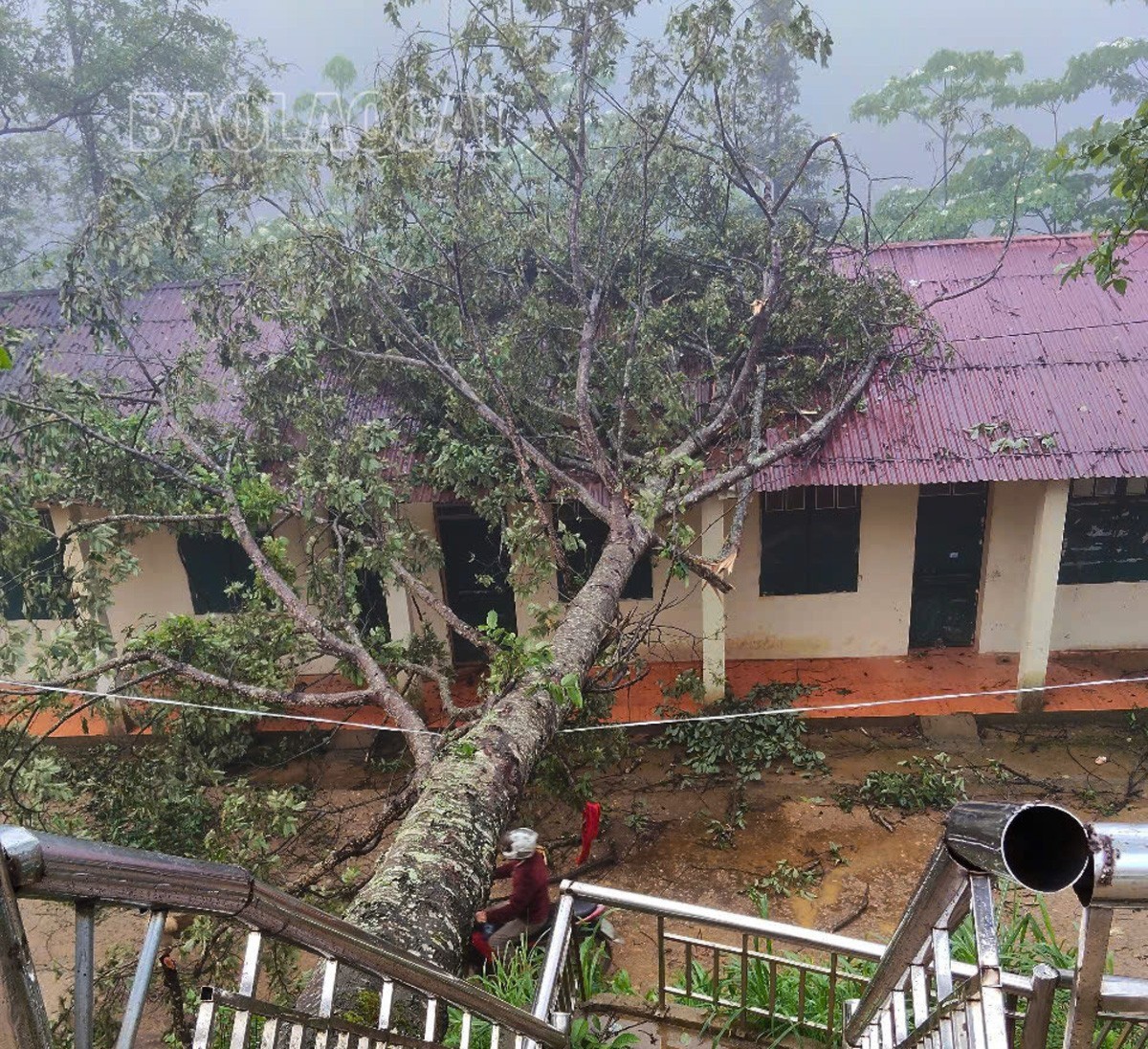 Khu nhà bán trú học sinh Trường THCS xã Sán Chải (huyện Si Ma Cai) bị cây đổ gây hư hỏng 5m2 mái tôn. z6572266067099-5fe6a870a32b17cb1f93c7c7ce0d0ea6-4598.jpg