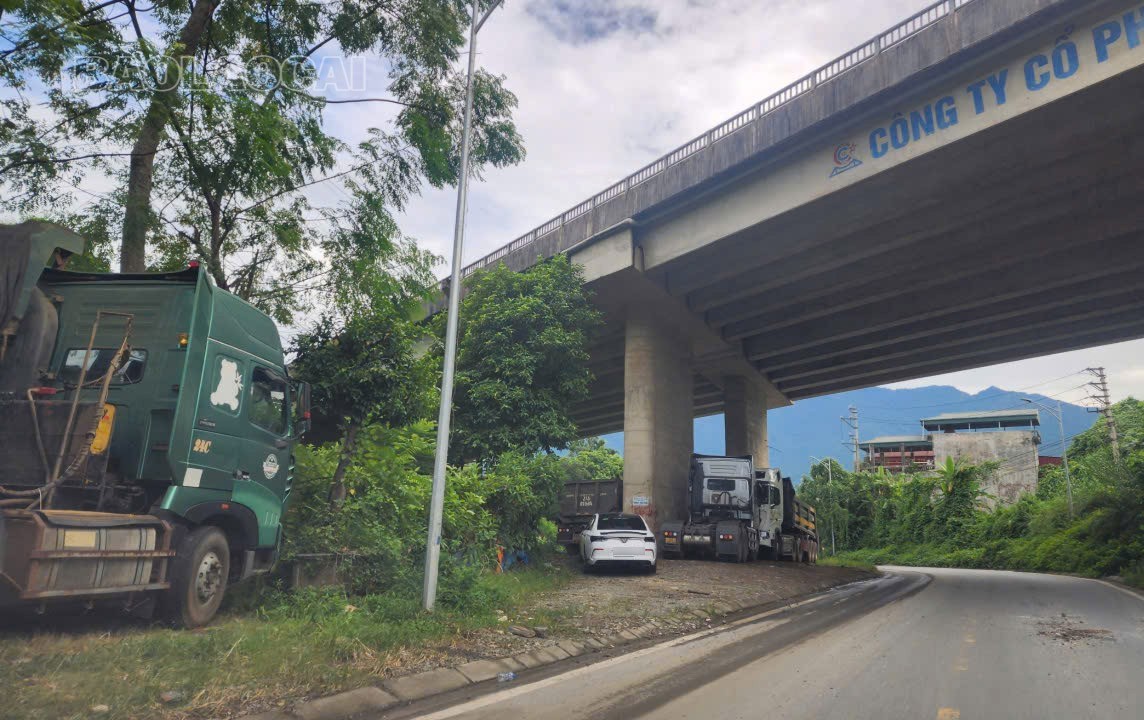 Gầm cầu vượt cao tốc Nội Bài - Lào Cai thuộc tổ dân phố Công Trường 5, phường Cam Đường đang bị lấn chiếm làm điểm đỗ xe. z7109669380544-8e455a74b185296054e48740e2deafff-3290.jpg
