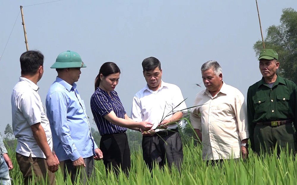 Văn Chấn lan tỏa những việc làm theo Bác ảnh 1 Văn Chấn lan tỏa những việc làm theo Bác ảnh 1
