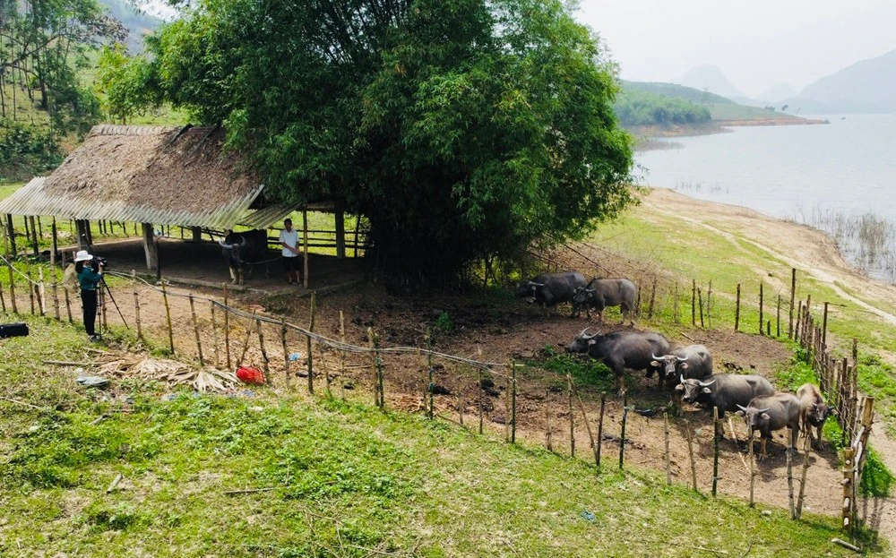 Biến đảo hoang thành “đảo vàng” giữa lòng hồ Thác ảnh 1