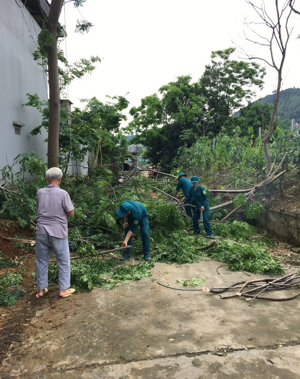 Đảng bộ xã Đại Phác vững mạnh nhờ làm theo lời Bác ảnh 1 Đảng bộ xã Đại Phác vững mạnh nhờ làm theo lời Bác ảnh 1