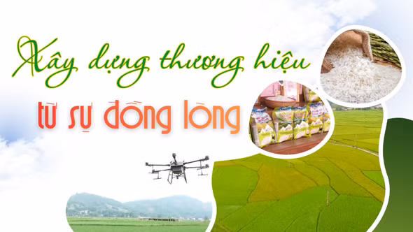 Xây dựng thương hiệu từ sự đồng lòng