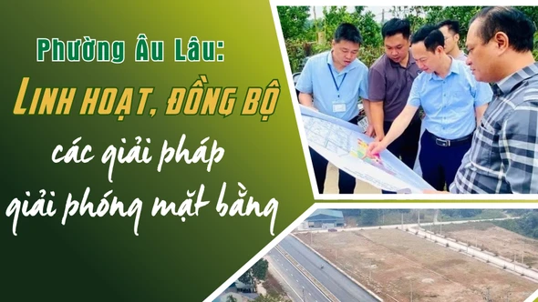 Linh hoạt, đồng bộ các giải pháp giải phóng mặt bằng 