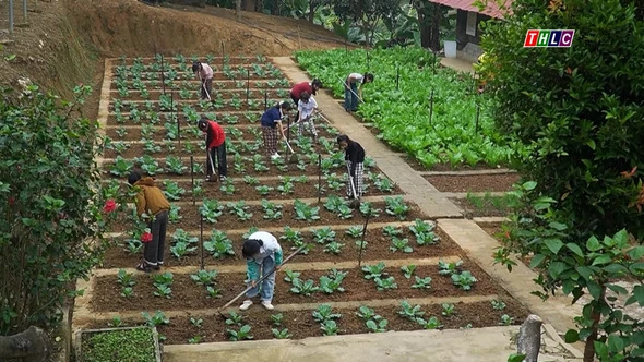 Hiệu quả mô hình "Trường học nông trại" 