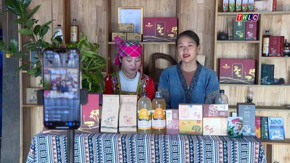 Cô gái trẻ đưa nông sản của đồng bào Mông lên sàn thương mại số