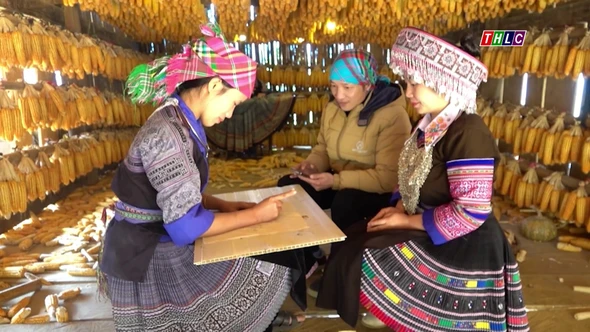 Độc đáo nhà ngô Màng Mủ