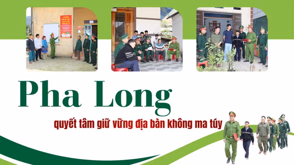 Pha Long quyết tâm giữ vững địa bàn không ma túy