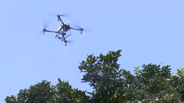 Nông dân xã Nghĩa Tâm ứng dụng flycam vào sản xuất 