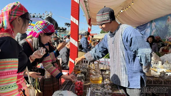 Độc đáo Hội chợ sản vật vùng cao và không gian trưng bày sản phẩm trà Shan tuyết